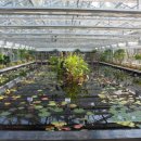 경상남도 수목원 이미지