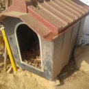 우리농장1 이미지