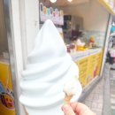 윙윙아이스크림 | 해운대시장에 생긴 귀여운 디저트 맛집 [윙윙 벌집 아이스크림] 후기!!