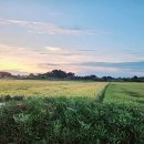 클럽레스피아in삽교바다공원 이미지