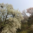 가곡쉼터 이미지