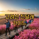 일부2리 | 강화 고려산 진달래축제 2026 일정·주차