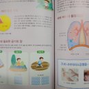 꼬마피카소북