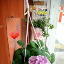 유림미장원
