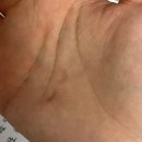 불티나 실비집 | 늘그니 종강했다