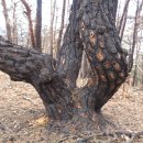 서원공원 이미지