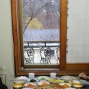 백년오리 이미지