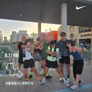 꿈꾸는 댕 | 발리누나는 발리 집으로 돌아가요. 즐거웠다 대한민국