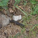 언덕산장 이미지