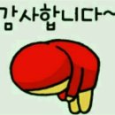 이쁜여우 이미지