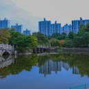 분당중앙공원 이미지