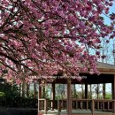 선1리경로당 이미지