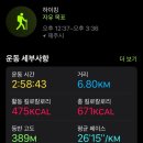 곶자왈거문오름