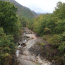 무릉계곡 관리동 이미지