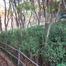 방범초소 옆 이미지