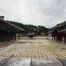 윤자운 사우 네이버블로그