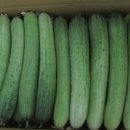 희망농원 이미지