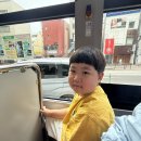 한솔 태권도 | 달동이네 2025년 4월 7살 육아일기