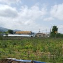 청통농장 이미지