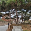 제이미파커스 | ^ 청와대둘레길(칠궁코스)/ 221204.일/ 2231