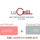 선일금고제작 이미지