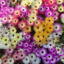 금수강산환경 이미지