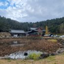 신도연못 옆 이미지