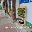 햇빛이용원 네이버블로그