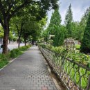 포동이 펫살롱 이미지