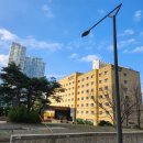 C호텔 리조트 | 강원도 속초 가성비 숙소 팜파스리조트 골드클래스 C 방문후기