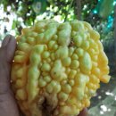 여주-0626 이미지