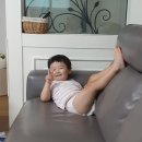 신선한순흥