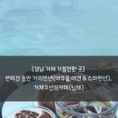 어우름펜션 | [경남 거제 가볼만한 곳] 반려견 동반 거제펜션(어우름 애견 &amp; 스파펜션), 거제오션뷰카페(심해)