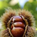 상쾌한 항구병원 이미지