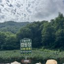 산솔면-21(미구교 건너편) | 강원도 영월 산솔오토캠핑장 계곡 키즈 캠핑장 명당 자리 추천