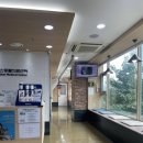 맘스협동조합 | [동물병원] 잔디가 가본 동물병원 짧은 후기 모음집