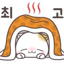 백슬동물병원 이미지
