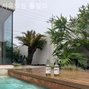 서유의섬 이미지