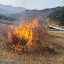 황놀부 농장 이미지