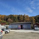 은행나무하우스낚시터 | 춘천 찌낚시 누구나 편하게 올 수 있는 은행나무하우스 실내낚시터