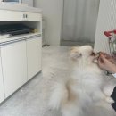 까까몽몽 이미지