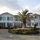 제주또올레 이미지