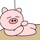 하얀집돈가스 이미지