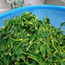 미보구내식당