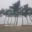 더브러컴퍼니 이미지