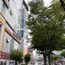중동우리들약국 | [경기/고양시] '루나라슈가링왁싱 일산중산점' 일산 중산동 브라질리언 후기