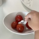 세일마켓