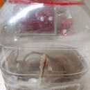 핏조아짐 신대 이미지