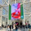 씨제이올리브영(주)순천향입구점 | [박람회] K CON LA 2025 리얼 후기 | 생생한 현장 속 K-브랜드와 글로벌 반응은?