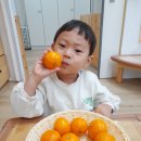 풍동중학교옆 이미지